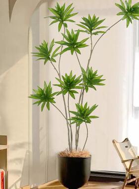 百合竹盆栽大型室内装饰摆件花客厅落地树植仿绿生假F878S68H植物