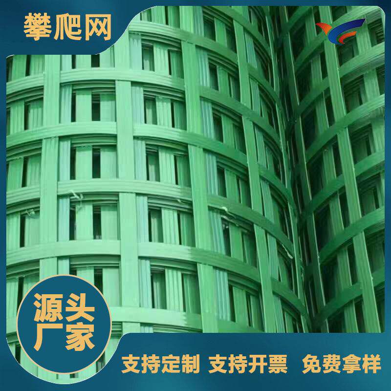 土工爬藤网厂矿山复绿边坡绿化用植物爬藤网绿色钢塑植物攀爬网