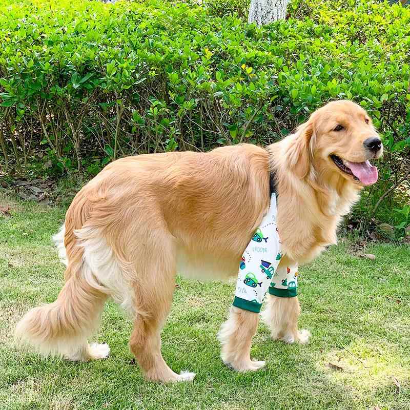 狗狗护膝脚腿套大型犬袖套护肘外出户外防脏防磨白色狗防口水氧化
