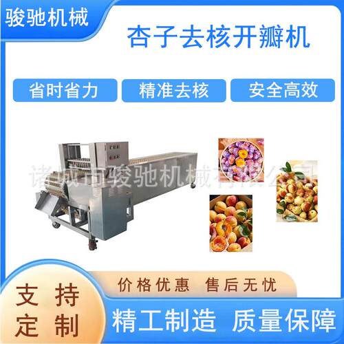 商用杏子去核开瓣机全自动黄桃去核机304不锈钢西梅去核开瓣机