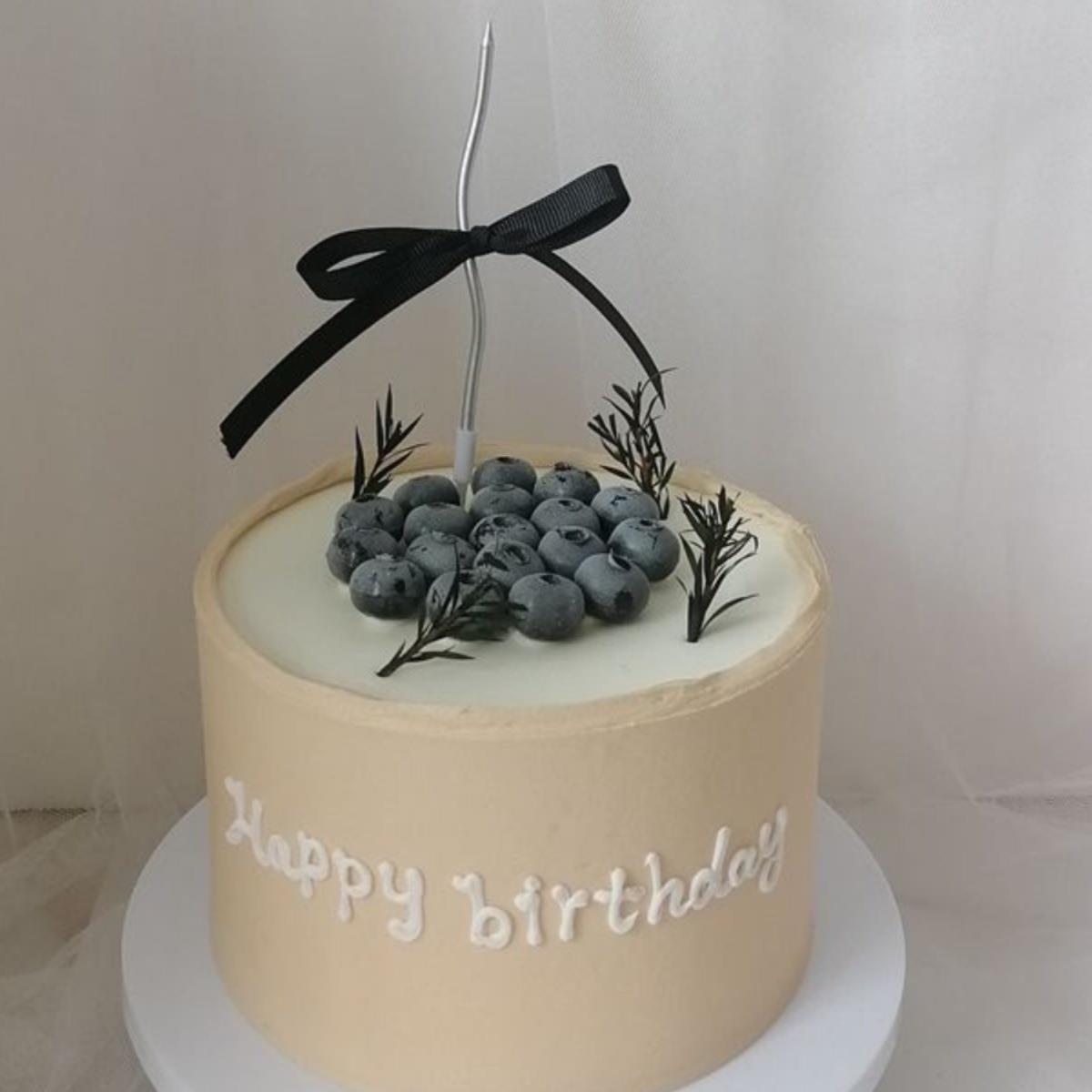 摄新拍款ing风蛋糕模型黑色蛋糕蓝莓型照模影道F985S7J6具摆件