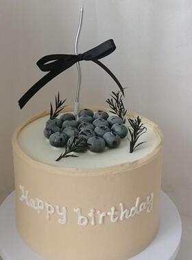摄新拍款ing风蛋糕模型黑色蛋糕蓝莓型照模影道F985S7J6具摆件