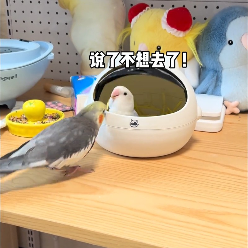 鹦鹉窝鸟窝四季通用窝可开合太空舱牡丹虎皮繁殖窝下蛋睡窝鸟专用