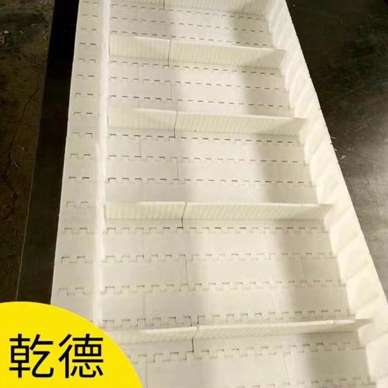 塑料链板输送带桂圆提升机链板尼龙PP清洗机塑料链板传送带厂家