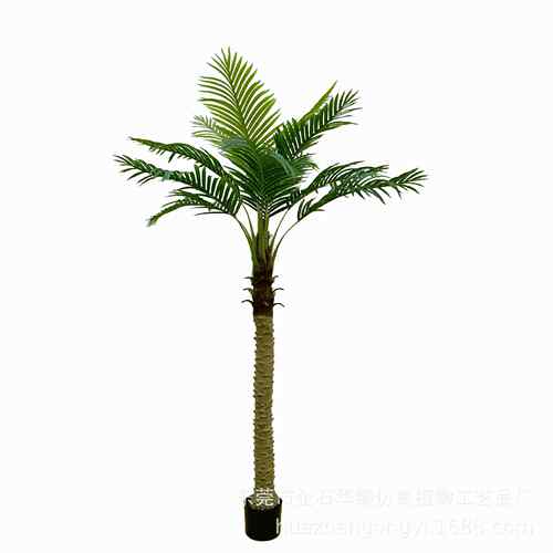 仿真植物造景散尾葵旅人蕉客厅盆栽假绿植室内橱窗软装装饰