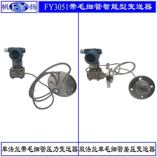FY3051DP+199RFYYFW智能压变送器 带差远传装置差压1送器 单晶变