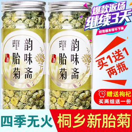 买一送一 菊花茶 头采正宗胎菊王桐乡杭白菊贡菊花茶罐装新花