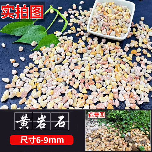 小石头小石子鹅卵石盆栽铺面粗沙