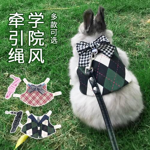 跨境新款兔子牵引绳 兔兔外出绳学院风侏儒兔子衣服 牵引绳兔衣服
