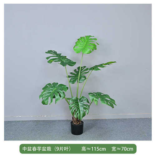 植葵植物室内尾凤尾芋龟背竹芋绿林散盆栽春北葵装饰仿真欧风树喜