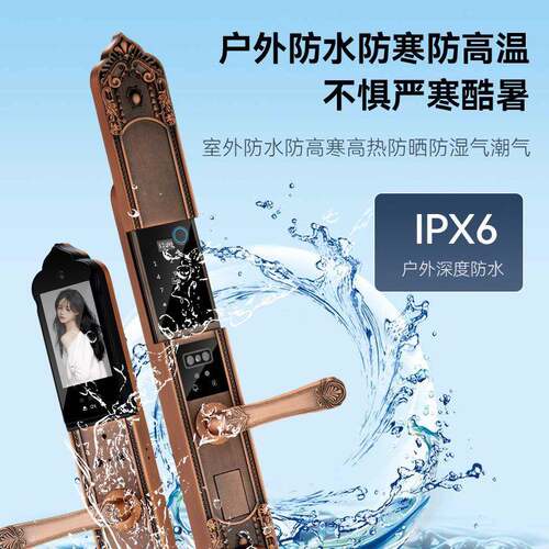 防水防冻防晒户外对开大门欧式别墅指纹家用指纹密码智能锁老木门