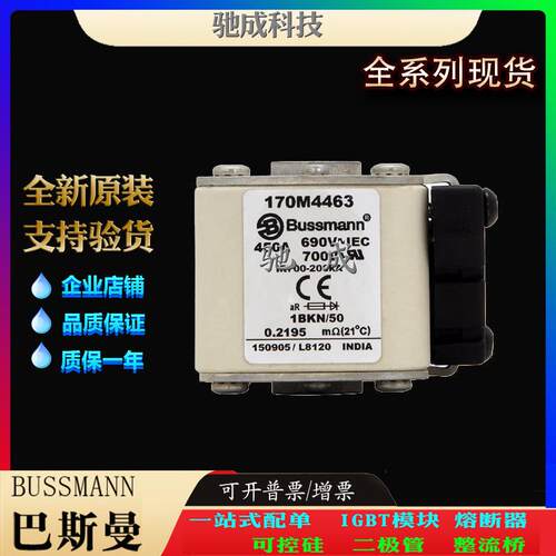 巴斯曼170M4462 170M4463 170M4464 大量现货销售 快速保险丝