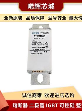 170M1802 170M1803 库存充足 型号齐全直流熔断器量大从优现货