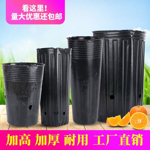 营养钵细长育苗钵圆口营养杯黑育苗盆方口提根蔷薇柑橘桶加高加厚