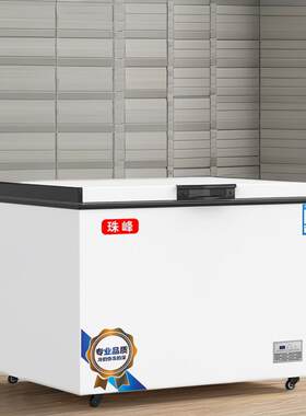 498两用卧式家用冷柜冷冻大冰柜商用大容量小冷冻柜一级能效