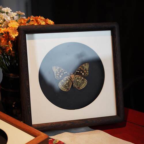 圆角中空5立体框实木diy标本相框画框手工定制蝴蝶植物展示框简约