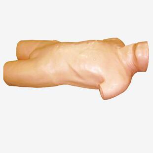 腹腔穿刺仿真病人模型L261