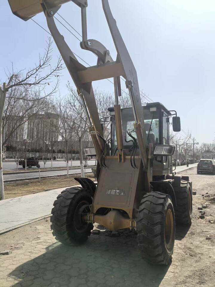 4月10日阿克苏地区一台小型轮式装载机网络拍卖公告