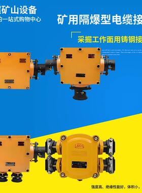 铸钢的BHD2-100/1140(660)-2G3G4G矿用隔爆型低压电缆接线盒