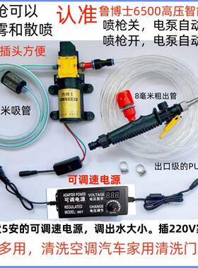 220V空调清洗机洗车器清洗设备家庭清洗增压隔膜泵可以调出水大小