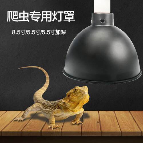 爬虫加热保暖灯罩蜥蜴陆龟爬宠箱uva加热灯uvb补钙灯聚光反射灯罩
