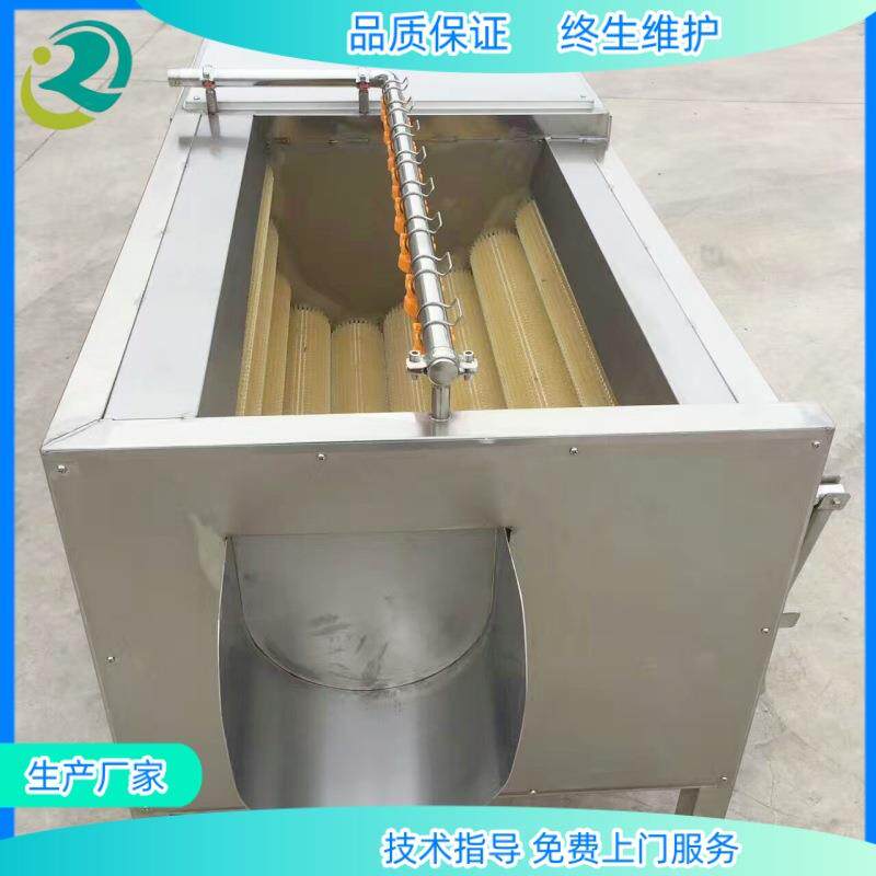 莲藕毛辊机械清洗机蔬菜水果加工清洗设备气泡环保蔬果加工