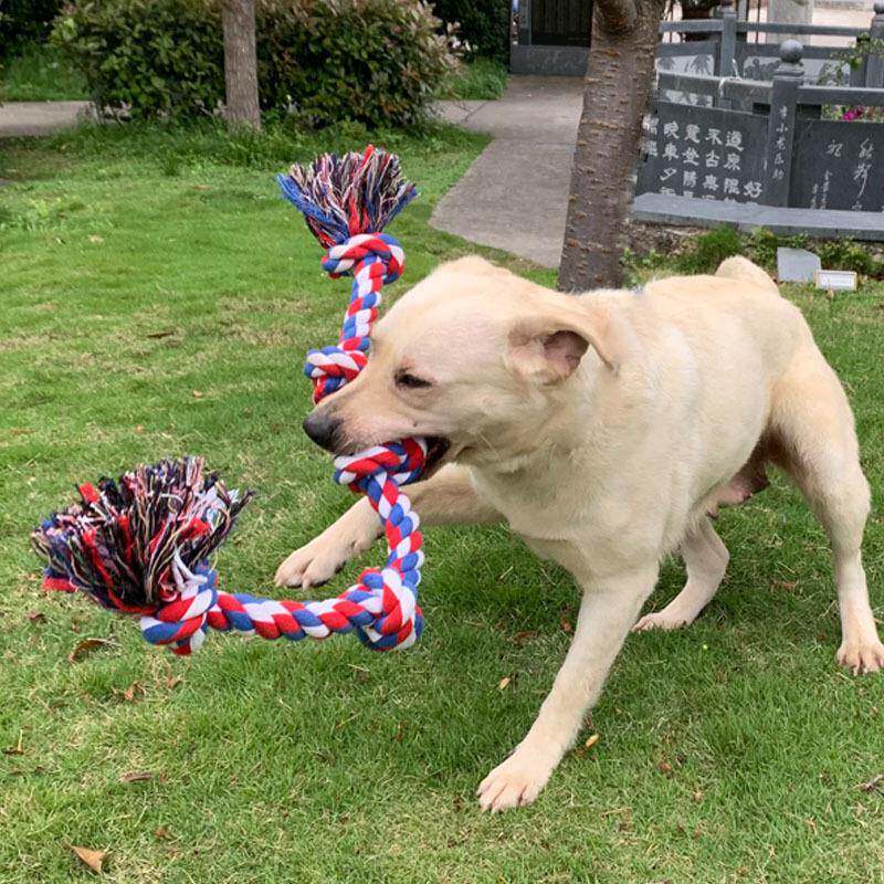 狗狗玩具咬绳棉绳成犬宠物解闷跨境爆款耐咬磨牙棒啃咬洁牙大型犬