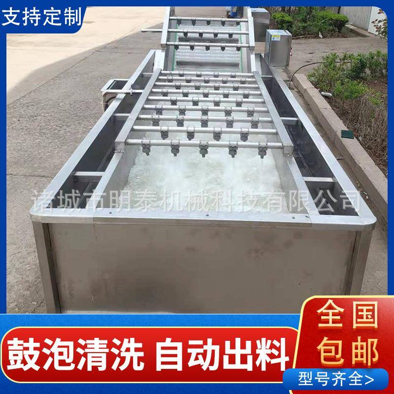 辣椒全自动洗菜机海鲜鲍鱼清洗设备芒果鼓泡洗果机大虾挂冰机