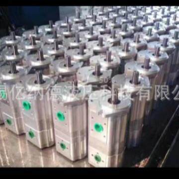 双联齿轮泵CBNL-F550/F520-BFP CBNL-F550/F510-BFP