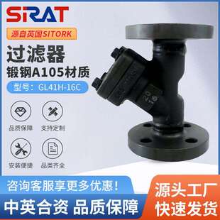 锻钢Y型过滤器GL41H-16C蒸汽高温高压法兰A105锻造DN15202532