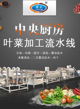 净菜加工流水线 中央厨房蔬菜生产线 蔬菜清洗切割预级菜加工设备