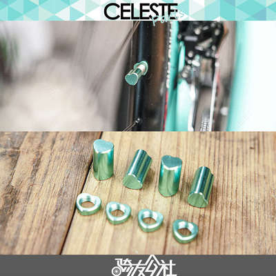 CELESTE天青色BIANCHI比安奇桃心爱心法嘴内胎气嘴帽螺母公路车