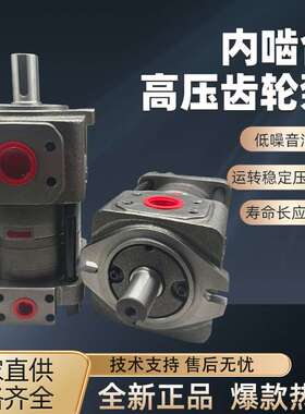 NT2-G10F G12F G16F G20 G25F G32F NB4-G63F G50F 内啮 合齿轮泵