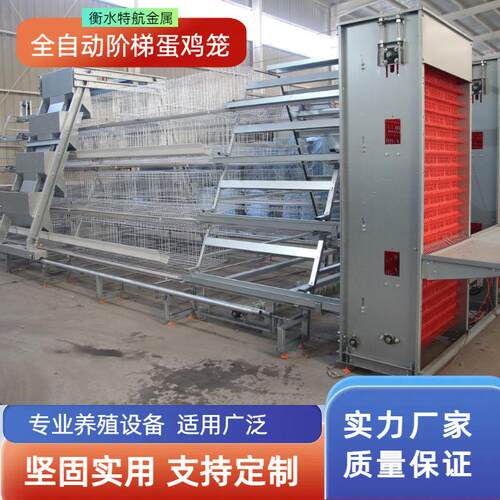 全自动阶梯蛋鸡笼加背负式喂料机捡蛋机自动集蛋系统自动喂料系统