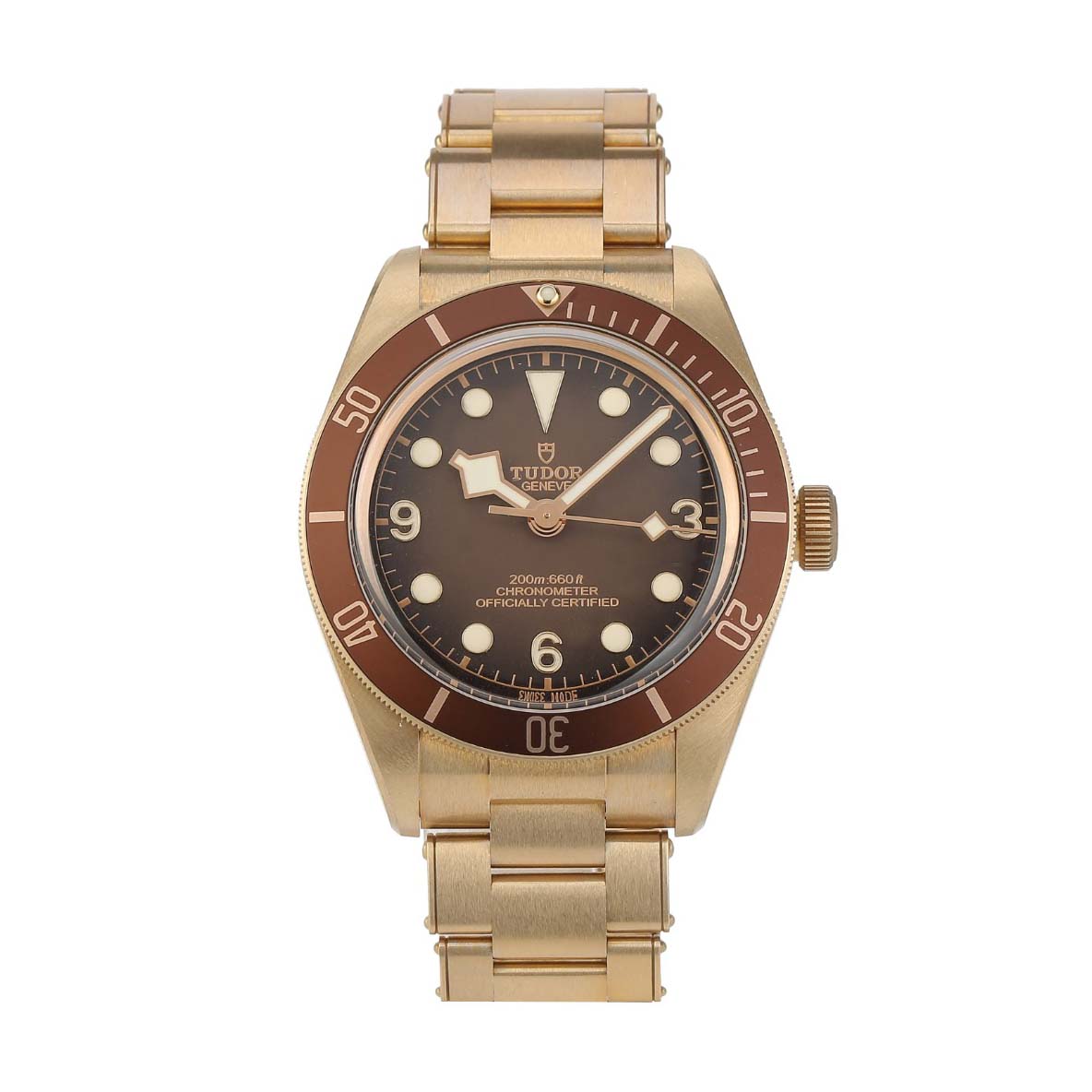 98新 公价34700 帝舵碧湾系列青铜自动机械手表男表M79012M-0001