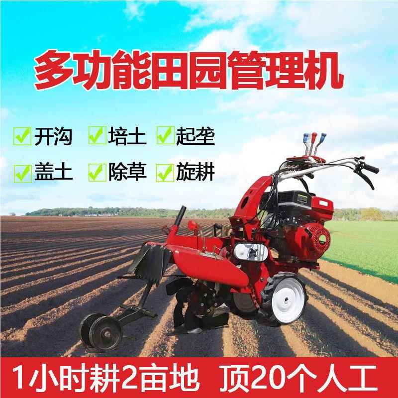 式土豆开沟新培土大葱草170/190/莓起垄机多微功能田园管理四柴油