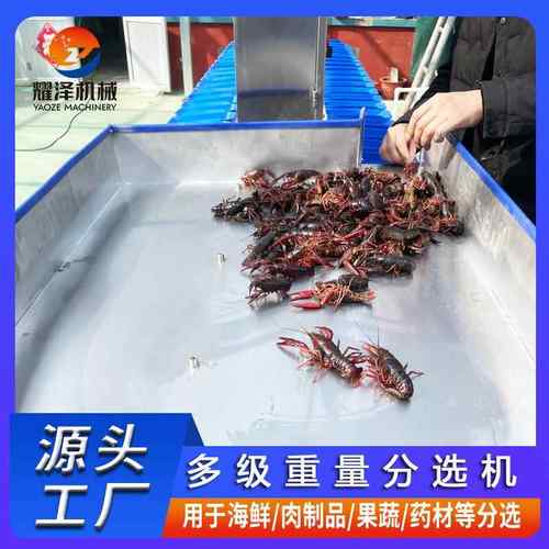 甲鱼刀鱼重量分选机料盒式重量分选机海参小龙虾自动称重分级机
