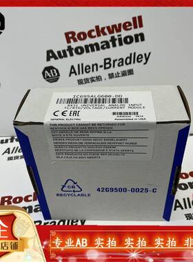 IC695ALG600-DC RX3i系列的8通道、热电偶、电阻、电流/电压、RTD