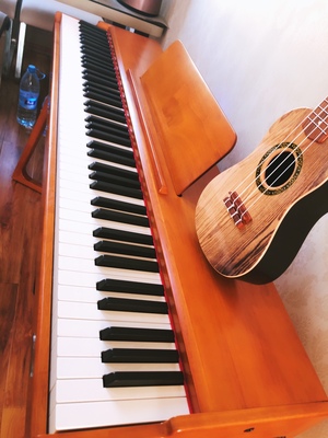 业界评测罗萨电钢琴怎么样?音质音色好不好呢?