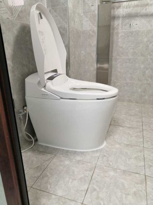 德希顿马桶质量怎么样体验后讲一讲感受