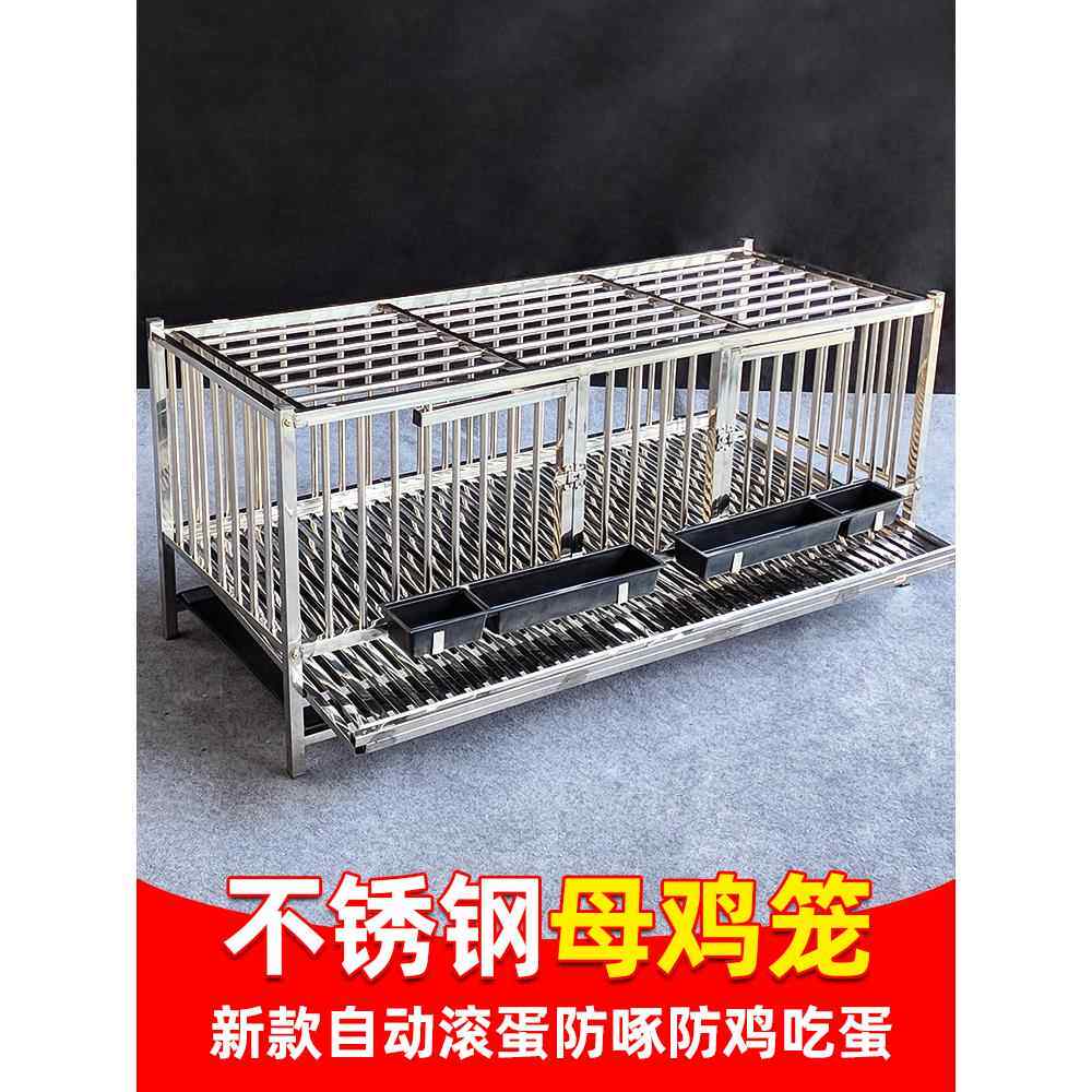 不锈钢加厚鸡笼,自动滚蛋笼,家用蛋鸡笼,鸡窝,防吃鸡蛋,防啄