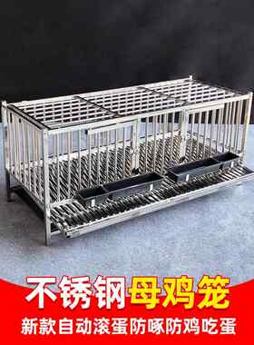 不锈钢加厚鸡笼，自动滚蛋笼，家用蛋鸡笼，鸡窝，防吃鸡蛋，防啄