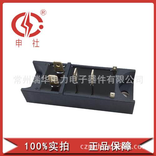 常州瑞华全新30A50A晶闸管/二极管模块MT/DFQ301629