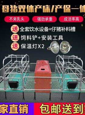 双体母猪产床保育床一体产保两用床产房养殖猪用热浸镀锌单体分娩