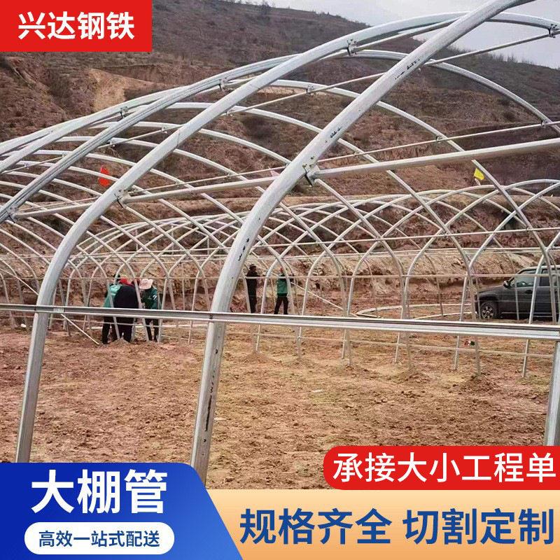 厂家蔬菜大棚管25镀锌管草莓大棚骨架量大优惠