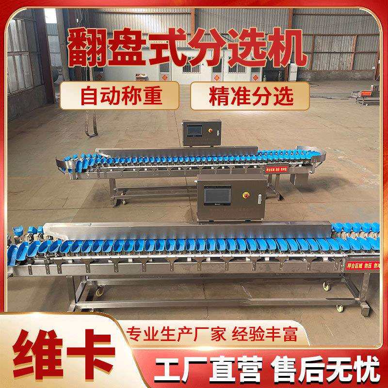 白条鸡称重分选机鸡爪多级重量分拣机海参自动分选称厂家直销