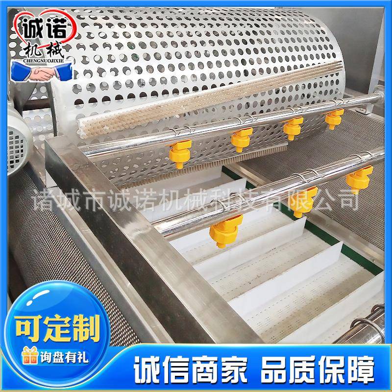 果蔬叶类清洗机全自动鼓泡喷淋式清洗机小龙虾气泡清洗机