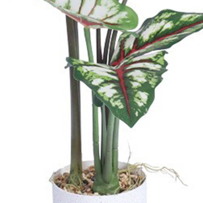 仿真绿植彩叶芋盆栽家居客厅桌面装饰摆件酒店橱窗造景盆景假植物