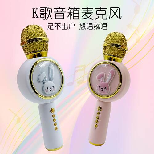 唱歌话筒音响一体麦克风家庭KTV音响套装儿童主持演讲无线麦克风