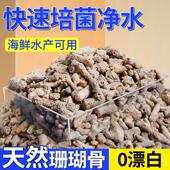 珊瑚骨滤材鱼缸过滤材料海鲜水产养殖鱼池珊瑚石底砂水族箱造景沙